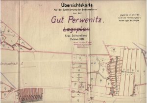 Ein Übersichtsplan von Gut Perwenitz mit der Einteilung der Grundstücke